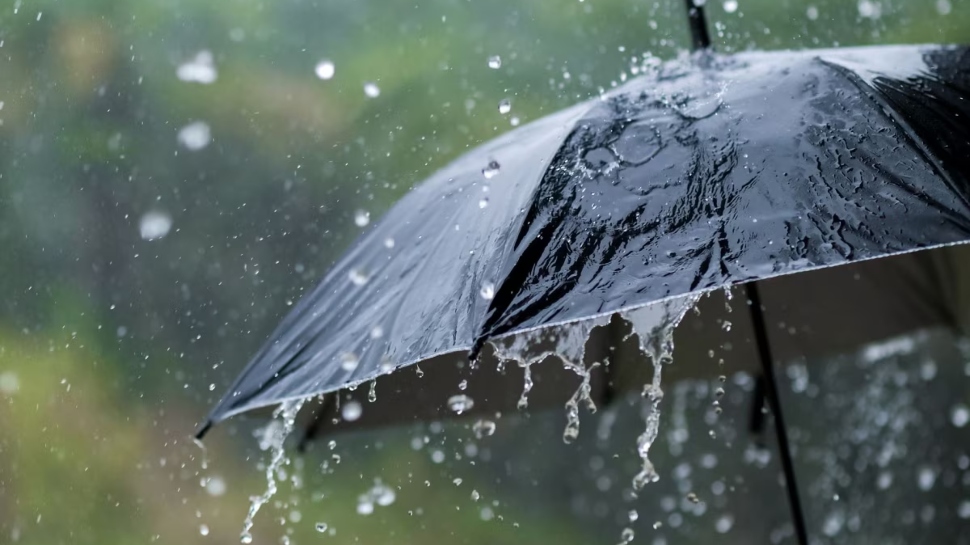 Kerala monsoon: കാലവർഷക്കാറ്റ് ദുർബലം; സംസ്ഥാനത്ത് ജൂണിൽ 25% മഴക്കുറവ് Kerala monsoon: കാലവർഷക്കാറ്റ് ദുർബലം; സംസ്ഥാനത്ത് ജൂണിൽ 25% മഴക്കുറവ്