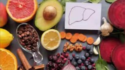 Ayurvedic Herbs: ഫാറ്റി ലിവറിനെ ചെറുക്കാൻ ഈ ആയുർവേദ സസ്യങ്ങളും ഔഷധങ്ങളും മികച്ചത്