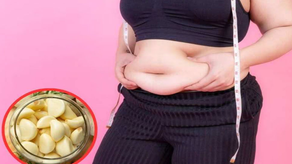 Reduce Belly Fat: വയറിൽ കൊഴുപ്പടിഞ്ഞിട്ടുണ്ടോ? വെളുത്തുള്ളി കഴിച്ചോളൂ ഫലം ഉറപ്പ്! Reduce Belly Fat: വയറിൽ കൊഴുപ്പടിഞ്ഞിട്ടുണ്ടോ? വെളുത്തുള്ളി കഴിച്ചോളൂ ഫലം ഉറപ്പ്!