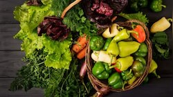 Monsoon Diet: മഴക്കാലത്ത് രോ​ഗപ്രതിരോധശേഷി മികച്ചതാക്കാം, അണുബാധകളെ തടയാം; ഈ ഭക്ഷണങ്ങൾ ഒഴിവാക്കൂ