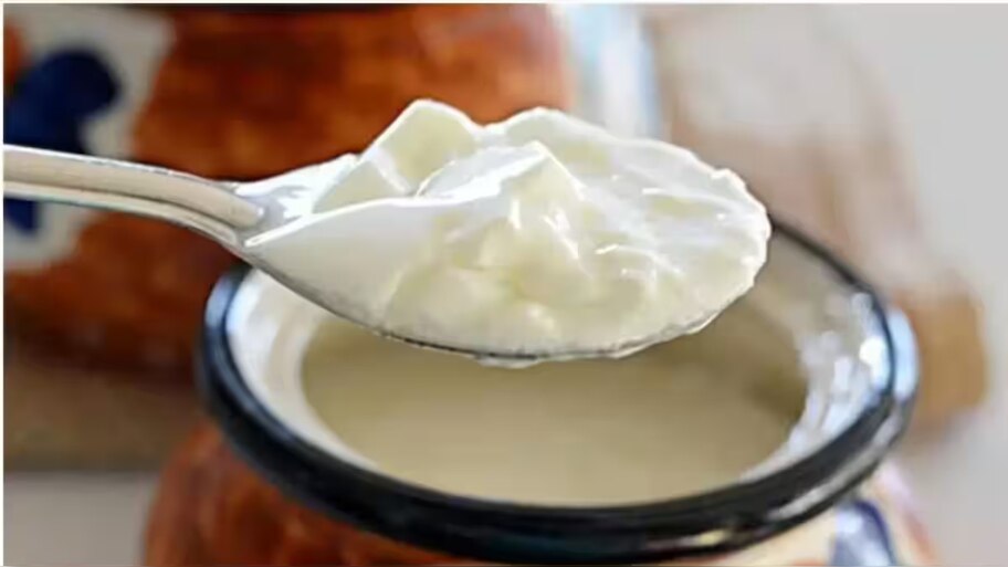 Curd Side Effects: തൈര് പകൽ കഴിച്ചോളൂ; രാത്രി കഴിച്ചാൽ കിട്ടും എട്ടിന്റെ പണി