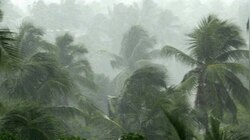 സംസ്ഥാനത്ത് ശക്തമായ മഴ തുടരുമെന്ന് മുന്നറിയിപ്പ്; നാല് ജില്ലകളിൽ യെല്ലോ അലർട്ട്