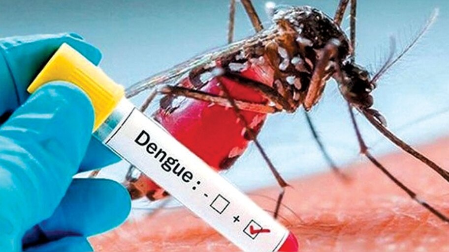 Kerala Health Department: സംസ്ഥാനത്ത് പകർച്ചവ്യാധി വ്യാപനം രൂക്ഷം; മൂന്ന് പനി മരണം കൂടി, 24 മണിക്കൂറിൽ 159 പേർക്ക് ഡെങ്കിപ്പനി, 42 പേർക്ക് എച്ച് 1 എൻ 1