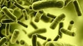 Cholera: സാമ്പിൾ ഫലങ്ങൾ നിർണായകം, കോളറ ലക്ഷണങ്ങളോടെ 11 പേർ ആശുപത്രിയിൽ