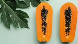 Antioxidant Rich Superfoods: ചർമ്മത്തിൻറെ ആരോഗ്യത്തിന് മികച്ചത്... ആൻറി ഓക്സിഡൻറ് സമ്പുഷ്ടം ഈ ഭക്ഷണങ്ങൾ