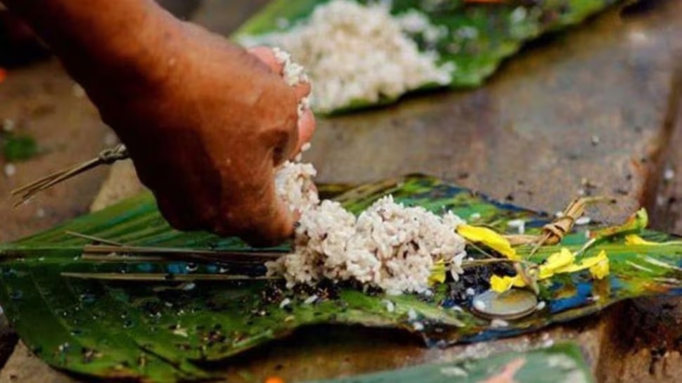 Karkidaka Vavu 2024: കർക്കടകവാവുബലി; ബലിതർപ്പണത്തിന് വിപുലമായ ക്രമീകരണങ്ങൾ Karkidaka Vavu 2024: കർക്കടകവാവുബലി; ബലിതർപ്പണത്തിന് വിപുലമായ ക്രമീകരണങ്ങൾ