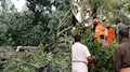 Kerala Rain: ഗുരുവായൂർ നെന്മിനിയിൽ മിന്നൽ ചുഴലി; വൻ നാശനഷ്ടം