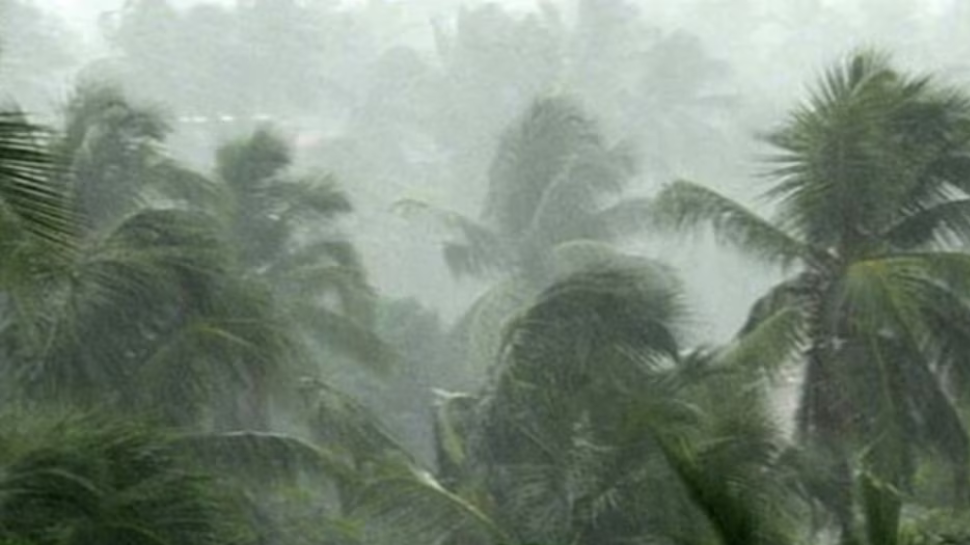 Kerala Rain Update: ബംഗാൾ ഉൾക്കടലിൽ ന്യൂനമർദം; കേരളത്തിൽ അടുത്ത 5 ദിവസം അതിശക്തമായ മഴ Kerala Rain Update: ബംഗാൾ ഉൾക്കടലിൽ ന്യൂനമർദം; കേരളത്തിൽ അടുത്ത 5 ദിവസം അതിശക്തമായ മഴ