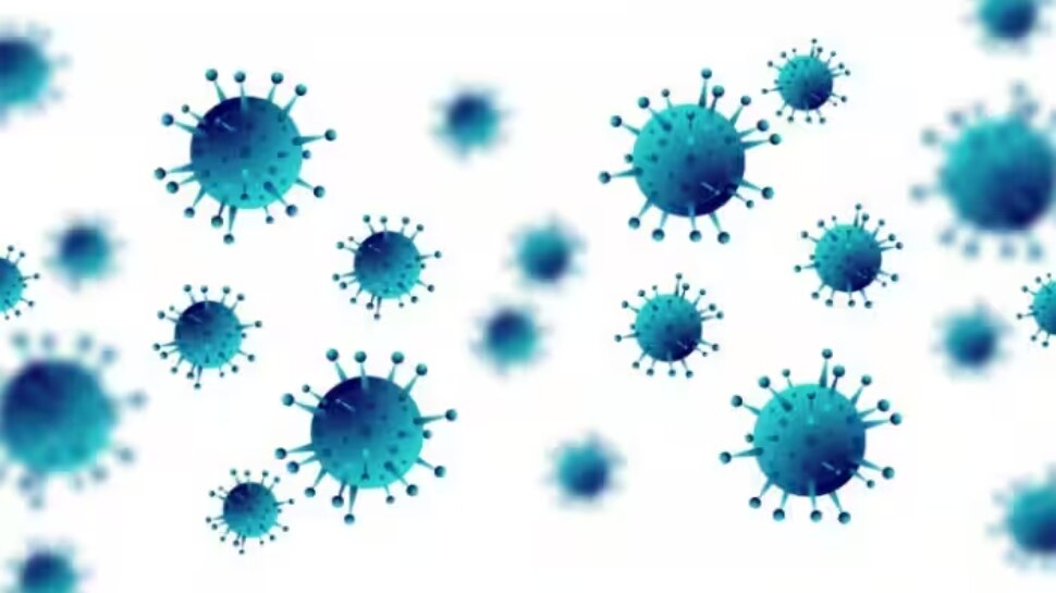 Chandipura Virus: ഗുജറാത്തിൽ ആറുപേരുടെ മരണത്തിനിടയാക്കിയ വൈറസ്, ബാധിക്കുന്നത് നാഡീവ്യൂഹത്തെ; എന്താണ് ചന്ദിപുര വൈറസ്?