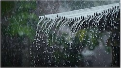 Kerala rain: സംസ്ഥാനത്ത് പെരുമഴക്കാലം; ഇന്ന് 2 ജില്ലകളിൽ റെഡ് അലർട്ട്, നാളെയും മഴ കനക്കും