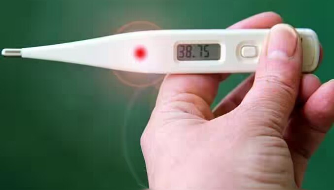 Fever Death: സംസ്ഥാനത്ത് പനി ബാധിച്ച് നാല് മരണം; ചികിത്സ തേടിയത് 12,678 പേർ, 145 പേർക്ക് ഡങ്കി