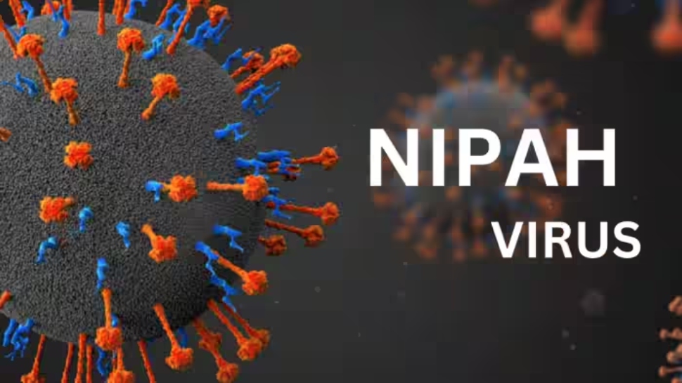 Nipah: നിപ പ്രതിരോധം; മന്ത്രി വീണാ ജോര്ജിന്റെ നേതൃത്വത്തില് ഉന്നതതല യോഗം ചേര്ന്നു Nipah: നിപ പ്രതിരോധം; മന്ത്രി വീണാ ജോര്ജിന്റെ നേതൃത്വത്തില് ഉന്നതതല യോഗം ചേര്ന്നു