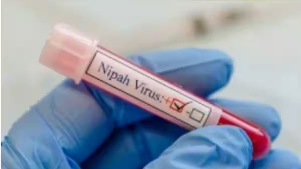 Nipah Virus: കേരളത്തിൽ നിപ മരണം; നിർദേശങ്ങളുമായി കേന്ദ്രം, പ്രത്യേക സംഘത്തെ അയക്കും Nipah Virus: കേരളത്തിൽ നിപ മരണം; നിർദേശങ്ങളുമായി കേന്ദ്രം, പ്രത്യേക സംഘത്തെ അയക്കും