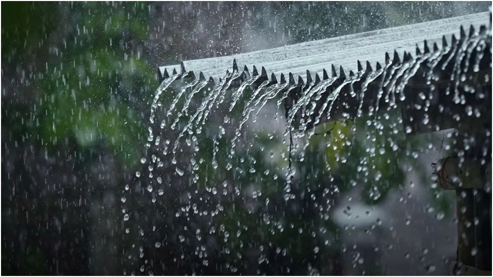 Kerala Rain Alert: സംസ്ഥാനത്ത് ഇന്നും മഴ തുടരും; 2 ജില്ലകളിൽ യെല്ലോ അലർട്ട് Kerala Rain Alert: സംസ്ഥാനത്ത് ഇന്നും മഴ തുടരും; 2 ജില്ലകളിൽ യെല്ലോ അലർട്ട്