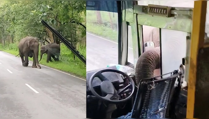 Shocking Video: ബസിന് നേർക്ക് പാഞ്ഞടുത്ത് കാട്ടാന, തുമ്പിക്കൈ സ്റ്റിയറിങ്ങിൽ; തലനാരിഴയ്ക്ക് രക്ഷപ്പെട്ട് യാത്രക്കാർ- വീഡിയോ