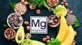Weight Loss Diet: മ​ഗ്നീഷ്യം അടങ്ങിയ ഈ ഭക്ഷണങ്ങൾ കഴിക്കാം; ശരീരഭാരം കുറയ്ക്കാൻ മികച്ചത്