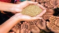 Global food policy report: ഭക്ഷണം കാത്ത്; ആരോ​ഗ്യകരമായ ഭക്ഷണമില്ലാതെ കഴിയുന്നവർ 200 കോടിയിലധികം 