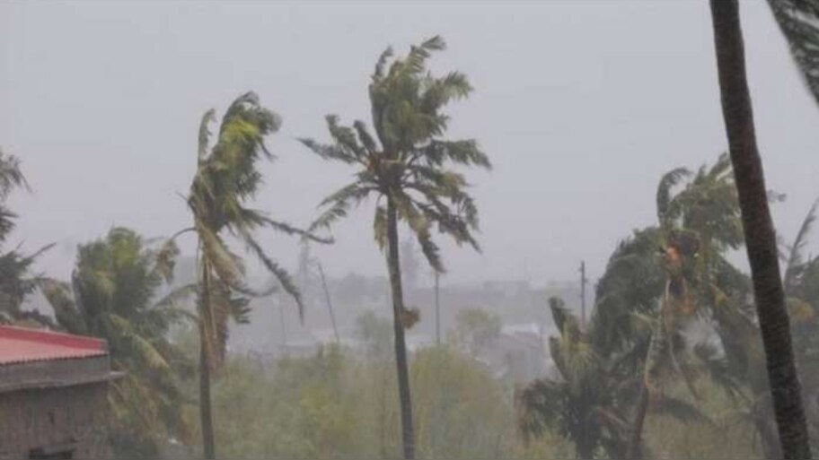 Kerala rain alert: ഇന്ന് സംസ്ഥാന വ്യാപക മഴ; 10 ജില്ലകളിൽ യെല്ലോ അലർട്ട് പ്രഖ്യാപിച്ചു