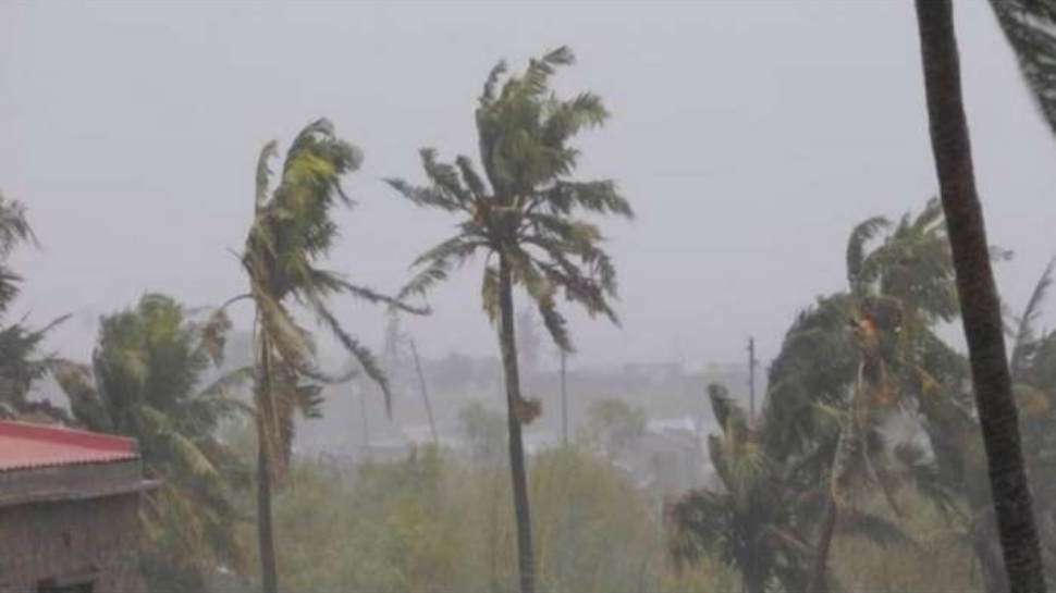Kerala rain alert: ഇന്ന് സംസ്ഥാന വ്യാപക മഴ; 10 ജില്ലകളിൽ യെല്ലോ അലർട്ട് പ്രഖ്യാപിച്ചു Kerala rain alert: ഇന്ന് സംസ്ഥാന വ്യാപക മഴ; 10 ജില്ലകളിൽ യെല്ലോ അലർട്ട് പ്രഖ്യാപിച്ചു
