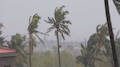 Kerala rain alert: ഇന്ന് സംസ്ഥാന വ്യാപക മഴ; 10 ജില്ലകളിൽ യെല്ലോ അലർട്ട് പ്രഖ്യാപിച്ചു