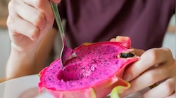 Dragon Fruit: കുഞ്ഞുങ്ങൾക്ക് ഡ്രാ​ഗൺ ഫ്രൂട്ട് നൽകാമോ? ഇക്കാര്യങ്ങൾ അറിയൂ
