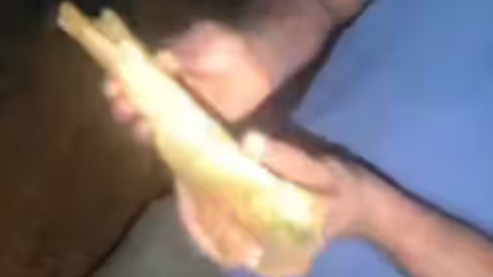 Shirur Landslide Update: പരിശോധനാ ഫലം വന്നു; ഷിരൂരിൽ കണ്ടെത്തിയത് മനുഷ്യ അസ്ഥിയല്ല, സ്ഥിരീകരിച്ച് അധികൃതർ Shirur Landslide Update: പരിശോധനാ ഫലം വന്നു; ഷിരൂരിൽ കണ്ടെത്തിയത് മനുഷ്യ അസ്ഥിയല്ല, സ്ഥിരീകരിച്ച് അധികൃതർ