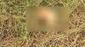 Thrissur News: പാടത്ത് മണ്ണ് നീക്കുന്നതിനിടെ അസ്ഥികൂടം കണ്ടെത്തി, സംഭവം തൃശൂരിൽ, പൊലീസ് അന്വേഷണം തുടങ്ങി