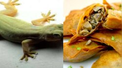 Dead Lizard in Samosa: സമൂസക്കുളളിൽ ചത്ത പല്ലി; കണ്ടത് പാഴ്സൽ വാങ്ങി വീട്ടിലെത്തിയപ്പോൾ