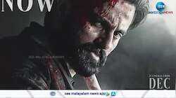 Marco Box Office Collection: 115 കോടിയും കടന്ന് മാർക്കോ കളക്ഷൻ