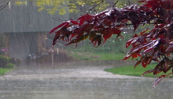 Kerala Weather Report: സംസ്ഥാനത്ത് ഒറ്റപ്പെട്ടയിടങ്ങളിൽ ഇടിമിന്നലോടു കൂടിയ മഴയ്ക്ക് സാധ്യത