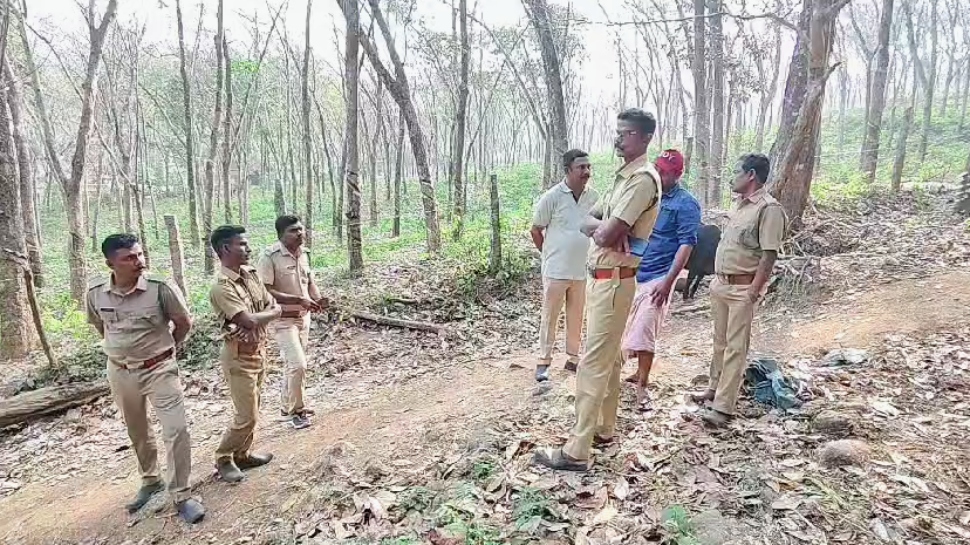 Wild Animal Attack: കൊല്ലം പത്തനാപുരത്ത് വന്യമൃഗത്തിൻ്റെ ആക്രമണം; പശു ചത്തു, പുലിയെന്ന് കർഷകൻ Wild Animal Attack: കൊല്ലം പത്തനാപുരത്ത് വന്യമൃഗത്തിൻ്റെ ആക്രമണം; പശു ചത്തു, പുലിയെന്ന് കർഷകൻ