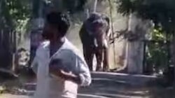 Elephant Attack: തൃശൂരിൽ ഇടഞ്ഞ ആനയുടെ കുത്തേറ്റ് ഒരാൾ മരിച്ചു; പരിക്കേറ്റ പാപ്പാൻ്റെ നില ഗുരുതരം, ആനയെ തളച്ചു