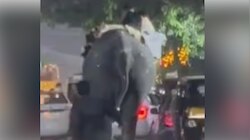 Elephant Attack: പാലക്കാട് നേർച്ചക്കിടെ ഇടഞ്ഞ ആന പാപ്പാനെ കുത്തിക്കൊന്നു