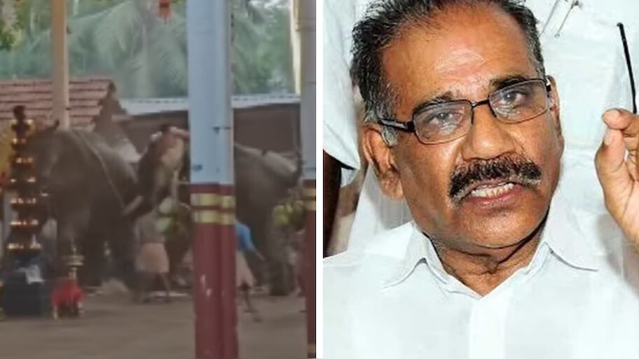 Koyilandy Elephants Runs Amok: എഴുന്നള്ളപ്പിൽ ചട്ടലംഘനമെന്ന് റിപ്പോർട്ട്; കേസെടുക്കാൻ വനംമന്ത്രിയുടെ നിർദ്ദേശം, സ്വമേധയാ ഇടപെട്ട് ഹൈക്കോടതി