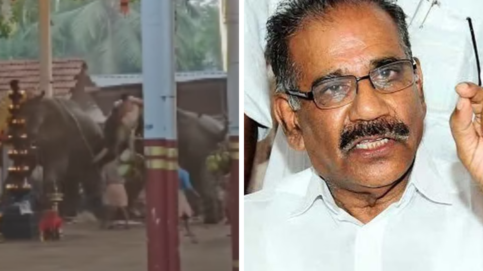 Koyilandy Elephants Runs Amok: എഴുന്നള്ളപ്പിൽ ചട്ടലംഘനമെന്ന് റിപ്പോർട്ട്; കേസെടുക്കാൻ വനംമന്ത്രിയുടെ നിർദ്ദേശം, സ്വമേധയാ ഇടപെട്ട് ഹൈക്കോടതി Koyilandy Elephants Runs Amok: എഴുന്നള്ളപ്പിൽ ചട്ടലംഘനമെന്ന് റിപ്പോർട്ട്; കേസെടുക്കാൻ വനംമന്ത്രിയുടെ നിർദ്ദേശം, സ്വമേധയാ ഇടപെട്ട് ഹൈക്കോടതി