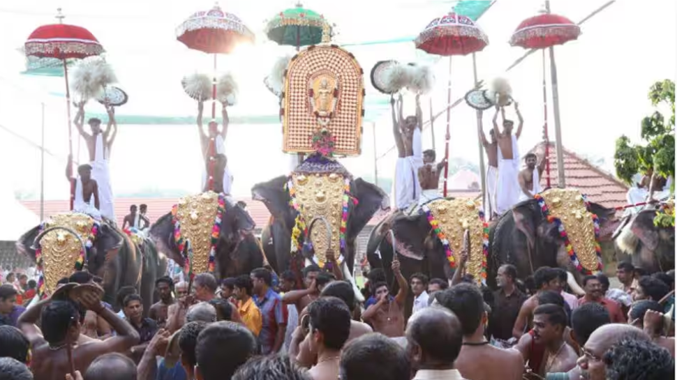 Importation of Elephants: ഇതര സംസ്ഥാനങ്ങളിൽനിന്ന് കേരളത്തിലേക്ക് നാട്ടാനകളെ കൊണ്ടുവരാം; ഹൈക്കോടതി ഉത്തരവിന് സുപ്രീം കോടതി സ്റ്റേ Importation of Elephants: ഇതര സംസ്ഥാനങ്ങളിൽനിന്ന് കേരളത്തിലേക്ക് നാട്ടാനകളെ കൊണ്ടുവരാം; ഹൈക്കോടതി ഉത്തരവിന് സുപ്രീം കോടതി സ്റ്റേ