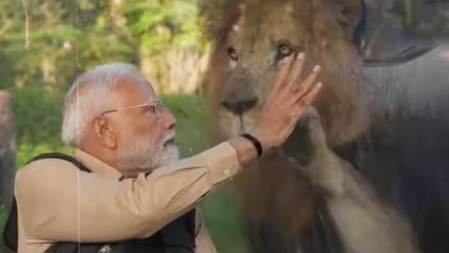 PM Narendra Modi Inaugurates Vantara In Gujarat fed White Lion cub ...
