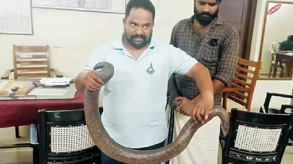 Arrested: ഇരുതലമൂരിയുമായി എയർഫോഴ്സ് ഉദ്യോഗസ്ഥൻ പിടിയിൽ