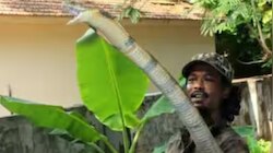 Snake Catcher Santhosh Kumar: പാമ്പിനെ പിടിക്കാൻ ശ്രമിക്കുന്നതിനിടെ കടിയേറ്റു; പാമ്പുപിടിത്തക്കാരൻ സന്തോഷ്‌ കുമാറിന് ദാരുണാന്ത്യം