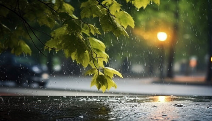 Kerala Rain Alert: സംസ്ഥാനത്ത് ഇന്നും ഇടിമിന്നലോടു കൂടിയ മഴയ്ക്ക് സാധ്യത; 3 ജില്ലകളിൽ യെല്ലോ അലർട്ട്