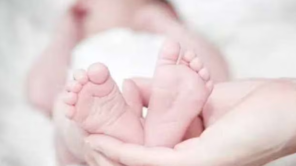 Child Death: ശിശുക്ഷേമ സമിതിയില് അഞ്ചരമാസം പ്രായമുള്ള കുഞ്ഞ് മരിച്ചു; പാൽ തൊണ്ടയിൽ കുടുങ്ങിയതെന്ന് റിപ്പോർട്ട് Child Death: ശിശുക്ഷേമ സമിതിയില് അഞ്ചരമാസം പ്രായമുള്ള കുഞ്ഞ് മരിച്ചു; പാൽ തൊണ്ടയിൽ കുടുങ്ങിയതെന്ന് റിപ്പോർട്ട്