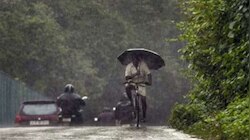 ഇടിമിന്നലോടു കൂടിയ മഴയ്ക്കും ശക്തമായ കാറ്റിനും സാധ്യത; നാല് ജില്ലകളിൽ മുന്നറിയിപ്പ്