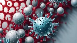 Nipah Symptoms: നിപ ലക്ഷണങ്ങൾ, കോഴിക്കോട് മെഡിക്കൽ കോളേജിൽ യുവതി ചികിത്സയിൽ; സ്രവം പരിശോധനയ്ക്ക് അയച്ചു