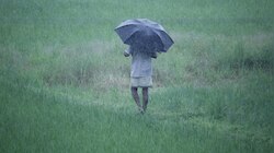 ഇടിമിന്നലോടു കൂടിയ വേനൽ മഴക്ക് സാധ്യത; സംസ്ഥാനത്ത് മൂന്ന് ജില്ലകളിൽ യെല്ലോ അലർട്ട്