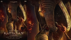 ആനക്കൊമ്പ് കൈയ്യിലേന്തി പെപ്പെ; സോഷ്യൽ മീഡിയ കത്തിച്ച് 'കാട്ടാളൻ’