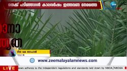 Monsoon: കാലവർഷം നേരത്തെ എത്താൻ സാധ്യത, മുൻകരുതലുകൾ എങ്ങനെ?