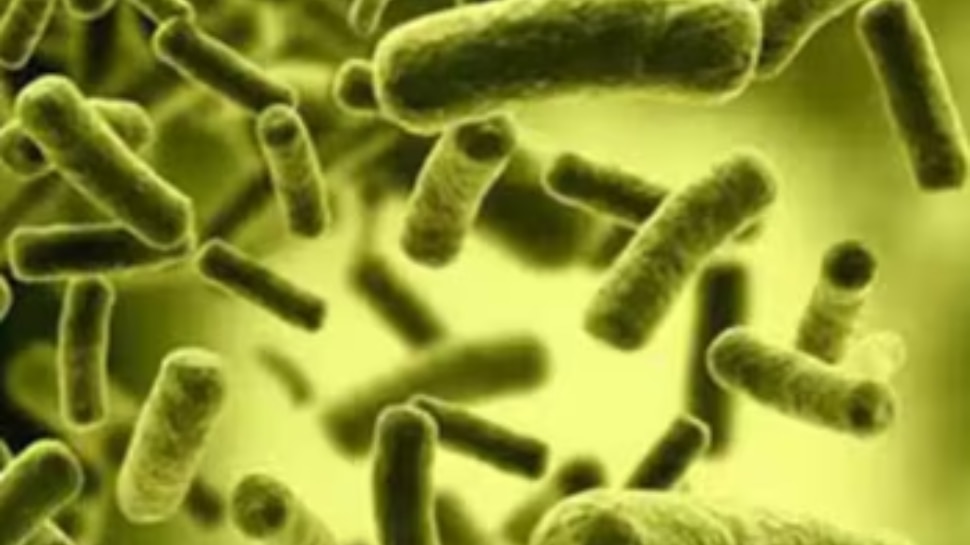 Cholera: ആലപ്പുഴയിൽ കോളറ; തലവടി സ്വദേശിക്ക് രോ​ഗം സ്ഥിരീകരിച്ചു