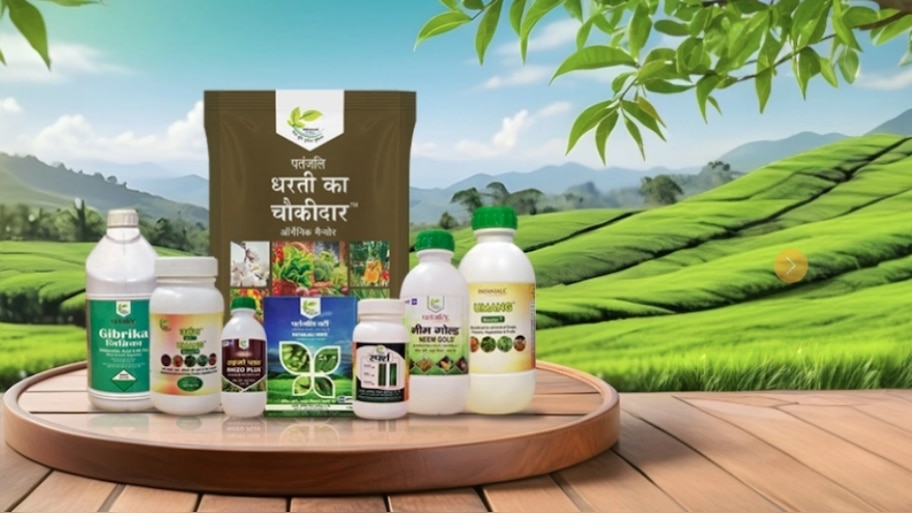 Patanjali Group: പതഞ്ജലിയുടെ പരിസ്ഥിതി സംരക്ഷണ പ്രവർത്തനങ്ങൾ പ്രകൃതിയെ എങ്ങനെ സംരക്ഷിക്കുന്നു?