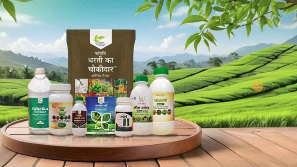 Patanjali Group: പതഞ്ജലിയുടെ പരിസ്ഥിതി സംരക്ഷണ പ്രവർത്തനങ്ങൾ പ്രകൃതിയെ എങ്ങനെ സംരക്ഷിക്കുന്നു? Patanjali Group: പതഞ്ജലിയുടെ പരിസ്ഥിതി സംരക്ഷണ പ്രവർത്തനങ്ങൾ പ്രകൃതിയെ എങ്ങനെ സംരക്ഷിക്കുന്നു?