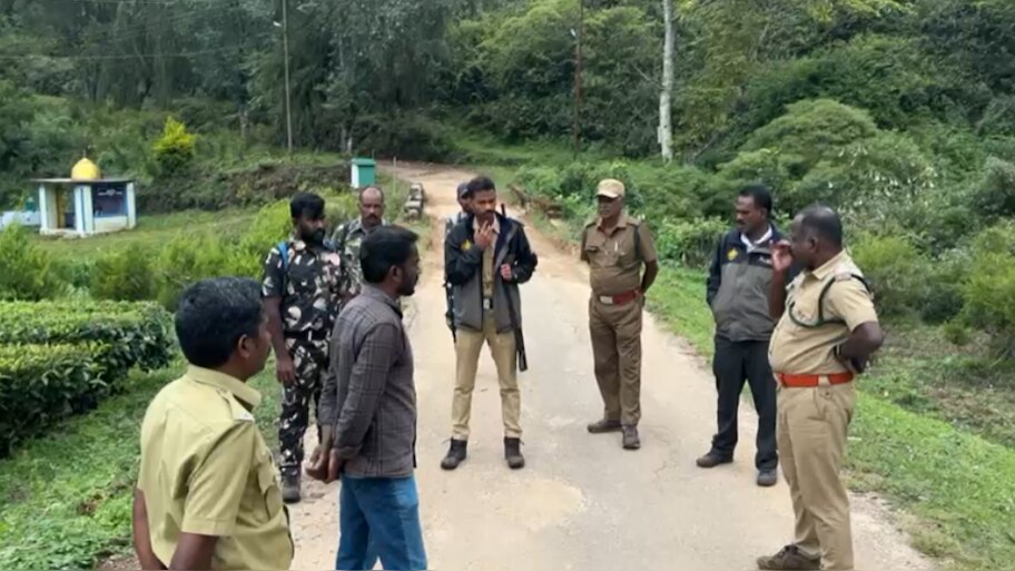 Tiger Spotted in Munnar: മൂന്നാറില്‍ വീണ്ടും കടുവ  സാന്നിധ്യം; സ്ഥിരീകരിച്ച് വനം വകുപ്പ്